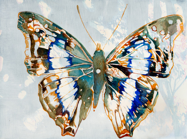 Farfalla • 60 x 80 cm • 2024 • Öl auf Leinwand